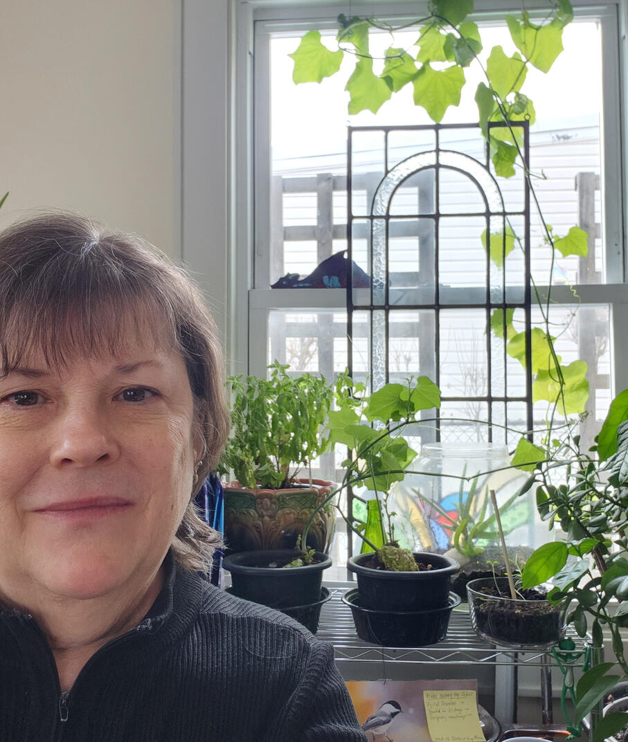 Sue Cubberly, Future Proofing Us